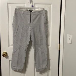 Express work cropped pants
